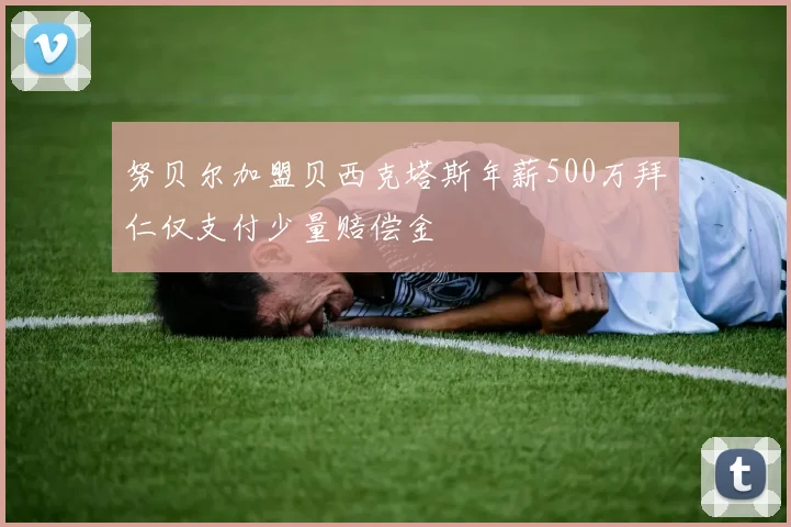 努贝尔加盟贝西克塔斯年薪500万拜仁仅支付少量赔偿金