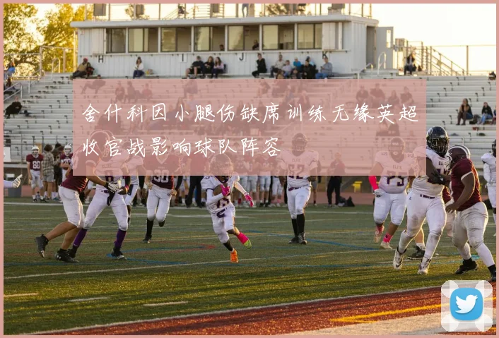 舍什科因小腿伤缺席训练无缘英超收官战影响球队阵容